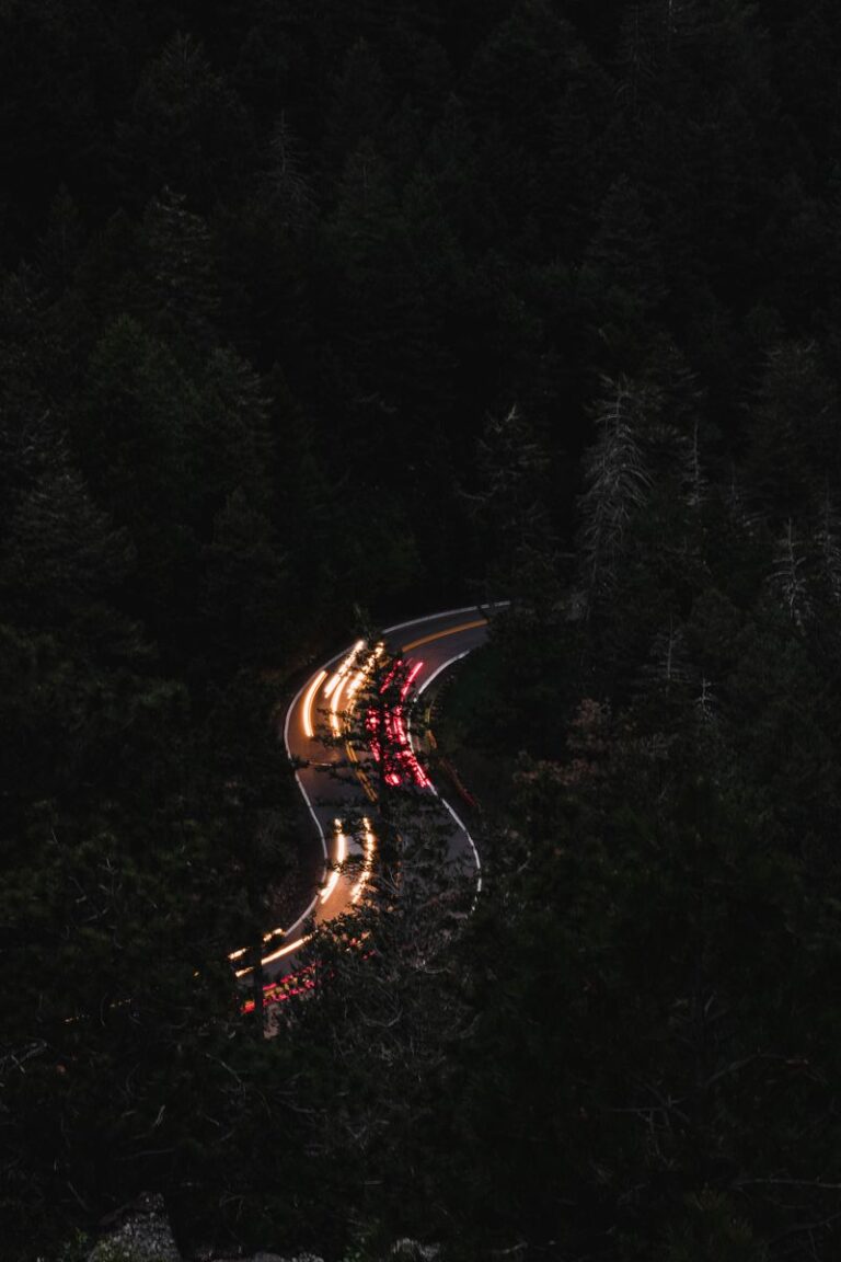 Dark forest road at night