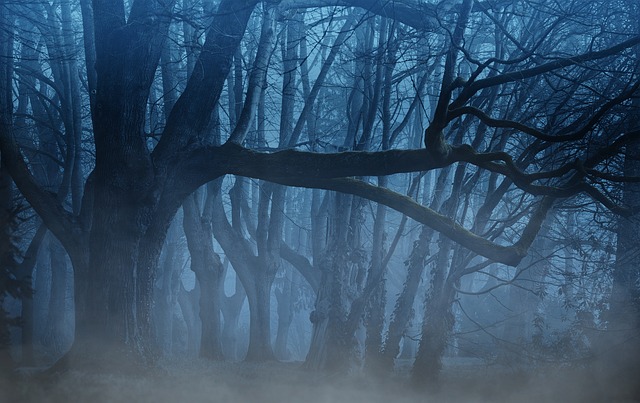Hutan berkabus dan gelap dengan pokok-pokok tua, suasana seram dan mistikal pada waktu malam