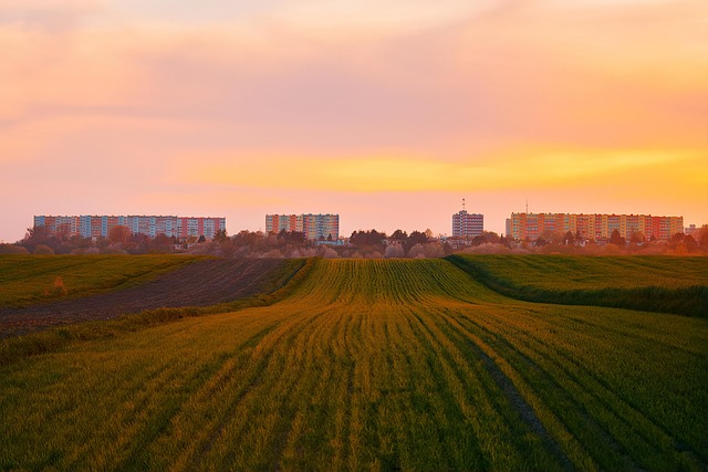 Padang kampung dengan pemandangan sawah dan rumah kampung waktu senja